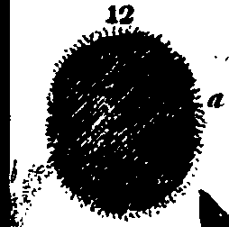 064/064750020003770_1.png