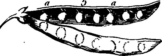 064/064750020003790_1.png