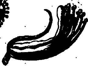 064/064750020003820_1.png