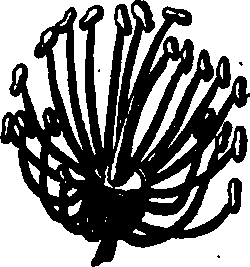 064/064750020003820_2.png