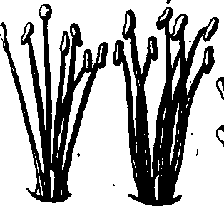 064/064750020003820_3.png