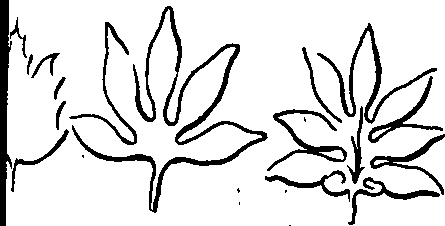 064/064750020003880_1.png