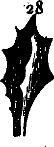 064/064750020003900_0.png