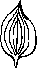 064/064750020003900_1.png