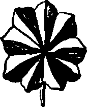 064/064750020003900_2.png