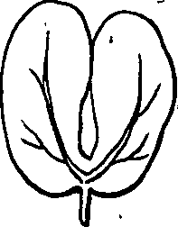 064/064750020003930_2.png