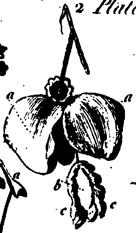 064/064750020004040_0.png