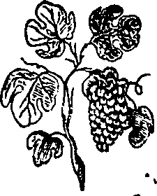 064/064760160000490_0.png