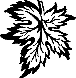 064/064800010000100_0.png