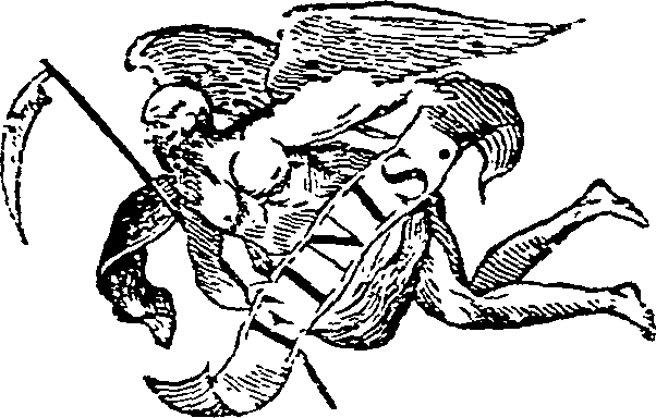 064/064800010000310_0.png