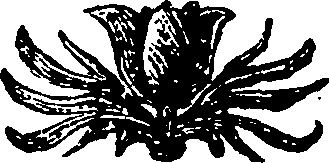 064/064810240000010_0.png