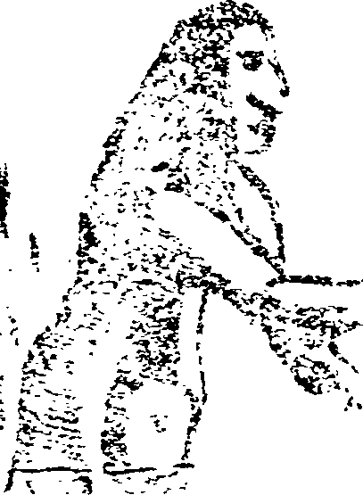 064/064840070000390_1.png