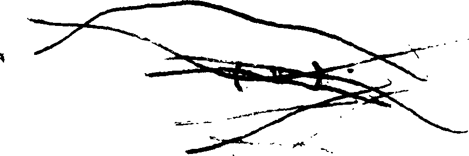 064/064880100000040_0.png