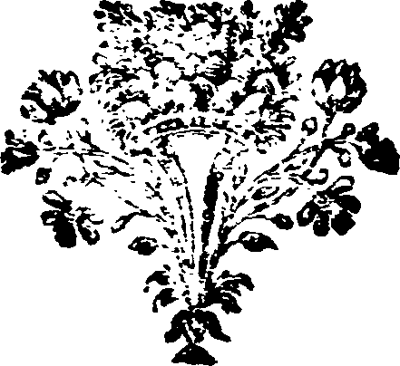 064/064890100001010_0.png
