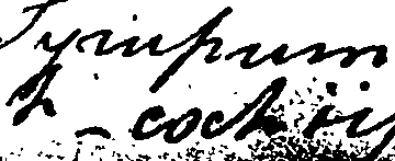 064/064910030000490_0.png