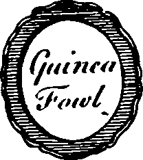 064/064910120000390_4.png