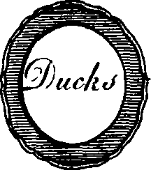 064/064910120000400_6.png