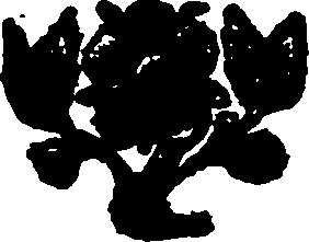 065/065030050000050_0.png