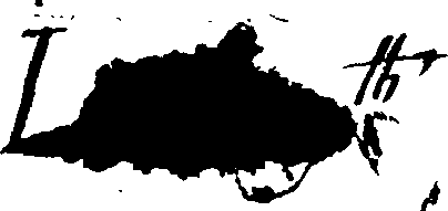 065/065100070000200_5.png