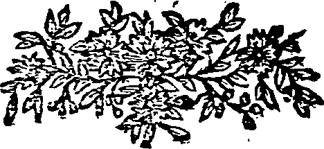 065/065210100000720_0.png