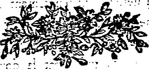 065/065210100001220_0.png