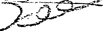 065/065220110001520_1.png