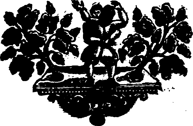 065/065240040000990_1.png