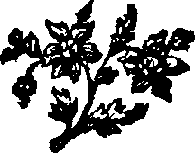 065/065280030100490_0.png