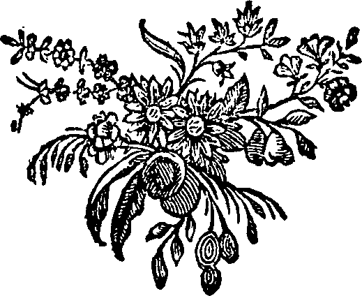 065/065280030101430_0.png
