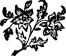 065/065280030101540_0.png