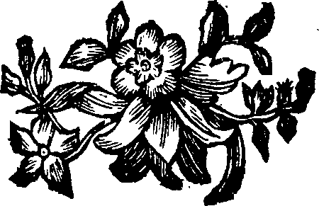 065/065280030101610_0.png