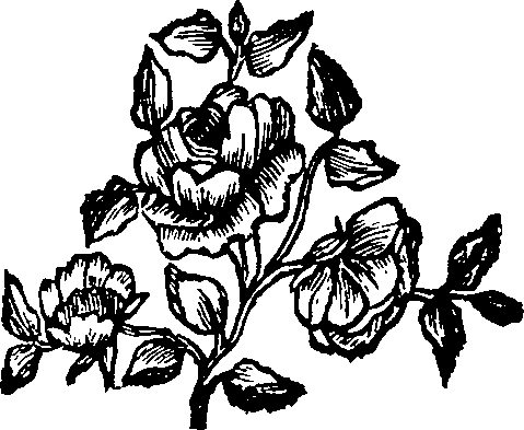 065/065280030101700_0.png