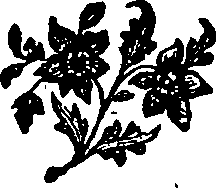 065/065280030102550_0.png
