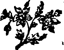 065/065280030102850_0.png