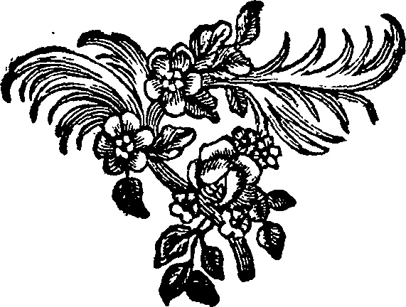 065/065280030103030_0.png