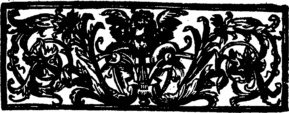 065/065320080000510_0.png