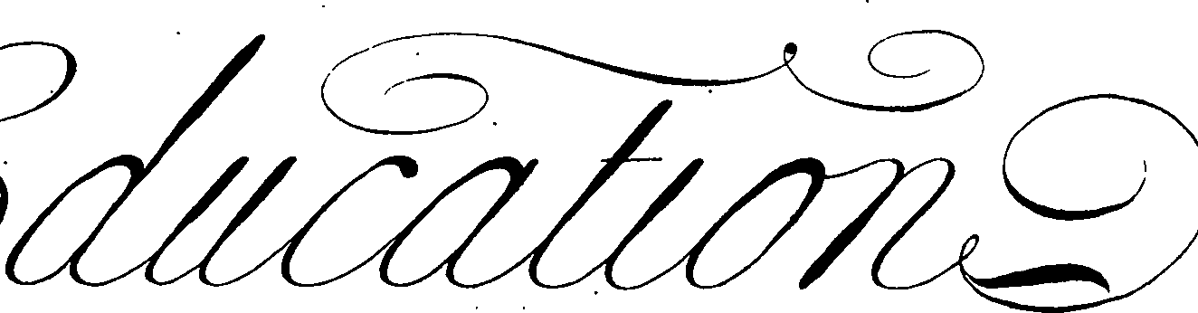 065/065370090000160_2.png