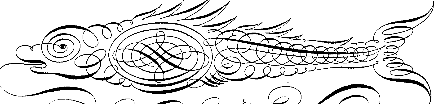 065/065370090001120_0.png