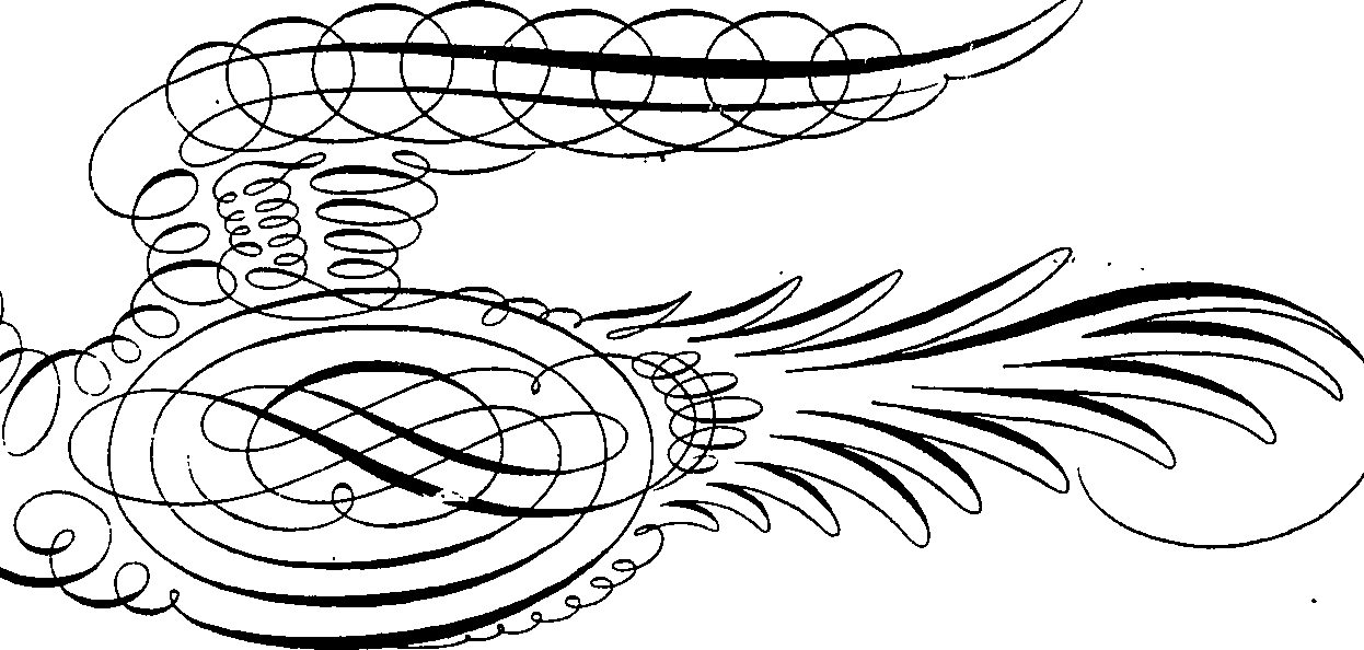 065/065370090001120_3.png