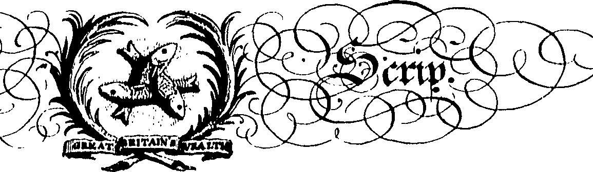 065/065370090001520_1.png