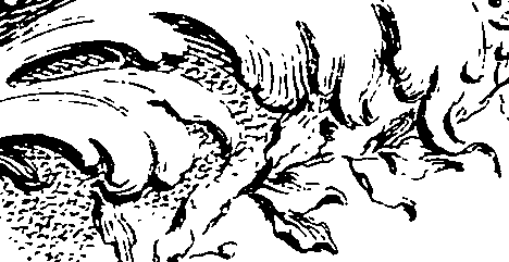 065/065370120000010_0.png