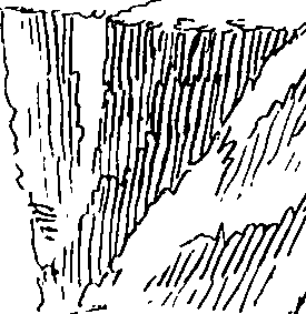 065/065380010000550_0.png
