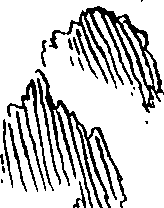 065/065380010000560_0.png