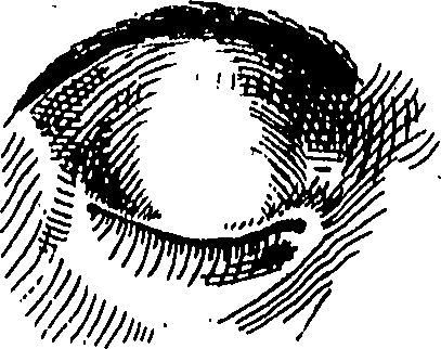 065/065380010000870_0.png
