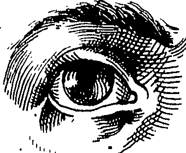 065/065380010000870_1.png