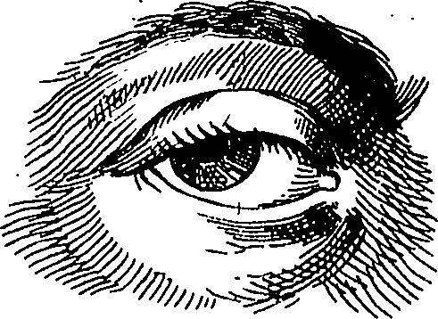065/065380010000870_2.png