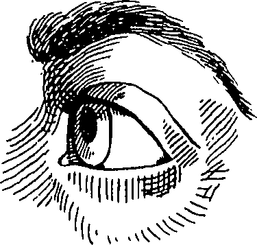 065/065380010000870_3.png
