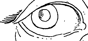 065/065380010000870_4.png