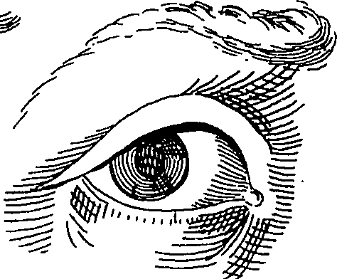 065/065380010000870_5.png