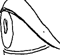 065/065380010000870_6.png